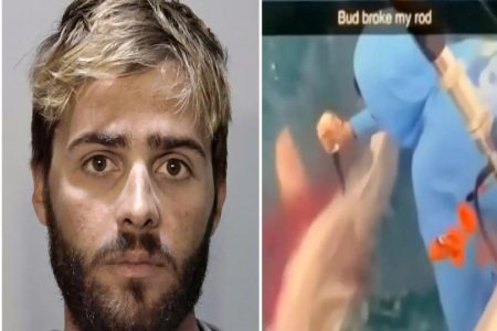 Shocking Florida Man Caught on Viral Video Brutally Stabbing Shark in Head Arrested for Revenge Attack