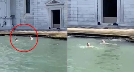 British Tourist Couple Fined and Banned from Venice After Swimming in Grand Canal